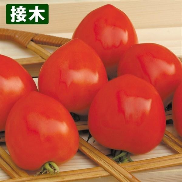 ●商品情報：と〜っても甘い、少し大きな中玉トマト。食味が良く、草丈はコンパクト。豊産性で育てやすい！●中玉トマト●果重（約）：50〜60g●お届け状態：接木9cmポット苗●備考：※接木苗、特にウリ科植物(ゴーヤ・キュウリ・メロン・スイカ)は...