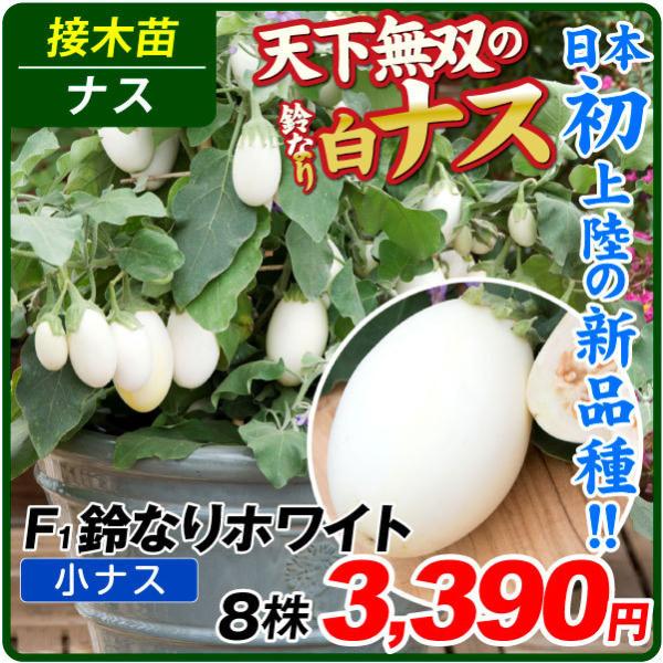 ナス 苗の人気商品 通販 価格比較 価格 Com