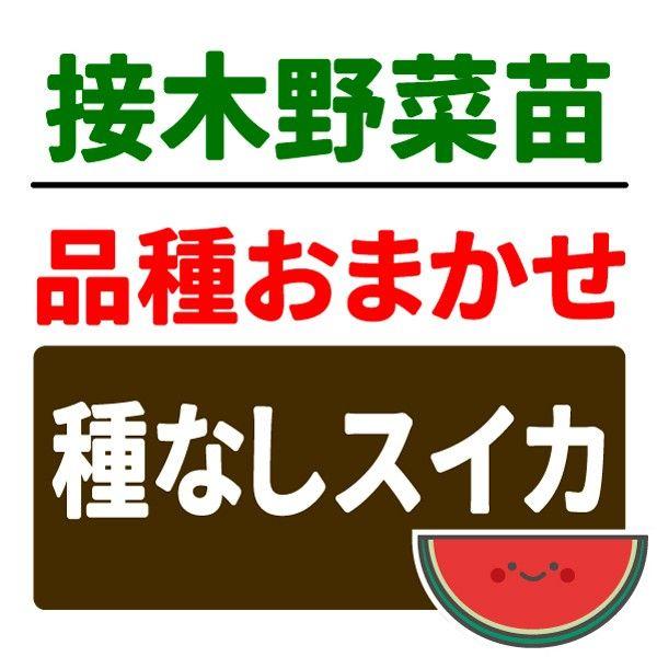 ●商品情報品種はおまかせ激安野菜苗！とりあえず安い野菜苗が欲しいという方や品種にこだわらないという方にピッタリ！栽培説明・名称ラベルが付いて初心者でも安心！今季販売中のいずれかの1品種が入ります。   ●お届け状態 接木9ｃｍポット苗   ...
