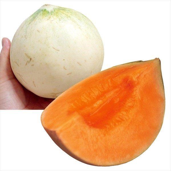 ●商品情報：愛され続ける極甘メロン！ メロンの一般的な糖度（12度）をはるかに超える最高糖度20度！ 追熟させるとトロ〜っととける肉質が楽しめます。自宅で作れる極甘の大人気品種です。※栽培環境によりネットが出ることがあります。●果重（約）：...