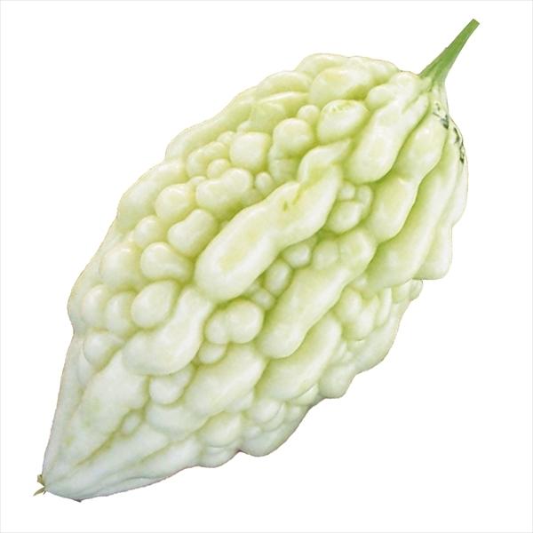 白 ゴーヤ 種の人気商品 通販 価格比較 価格 Com