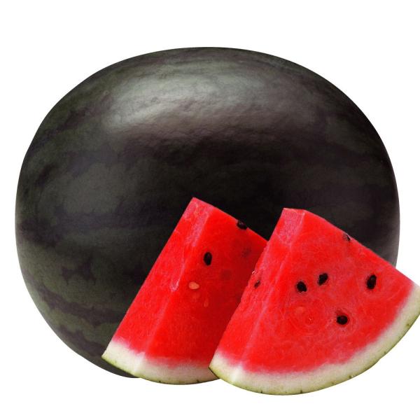 ●商品情報：最高糖度14度以上。シャリ感最高!栽培も簡単！　糖度は13度前後で安定し、条件が良ければ14度を超えることもある極甘スイカ。濃緑色の果皮に黒い縞が入る短だ円形品種で、適度なシャリ感があり歯ざわり良く、誰の口にも合う食味です。実つ...