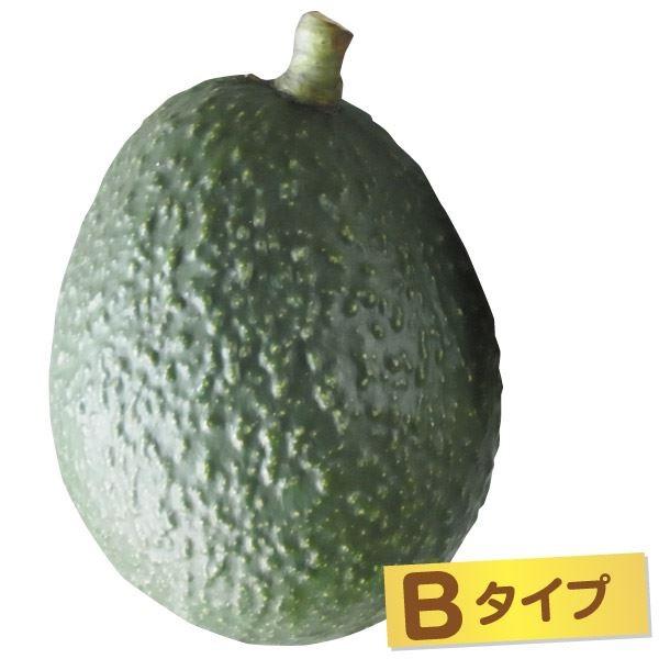 アボカド 農業資材 ガーデニング用品の人気商品 通販 価格比較 価格 Com