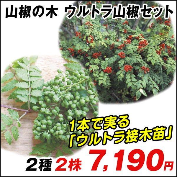 山椒 Diy 工具の人気商品 通販 価格比較 価格 Com