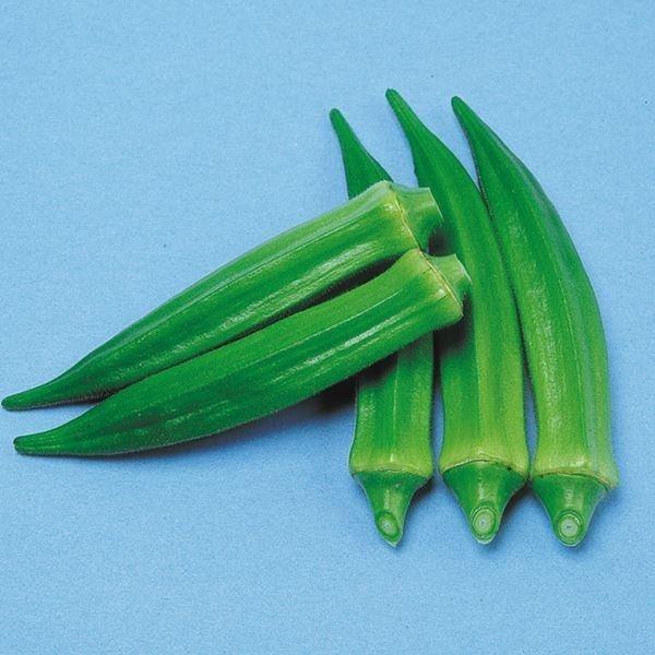 オクラ タネ 露地抑制栽培 F1スターブライト 1袋 5ml 種 野菜たね Ytc141 22n P6 0028 花と緑 国華園 通販 Yahoo ショッピング