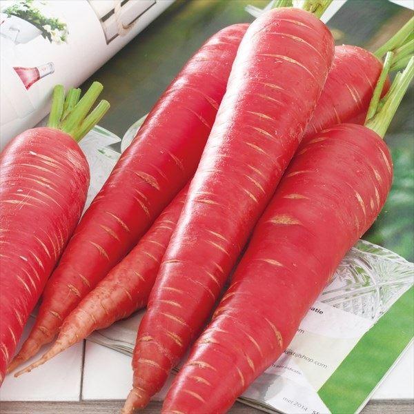 にんじん - 種の人気商品・通販・価格比較 - 価格.com にんじん - 種の人気商品・通販・価格比較 - 価格.com