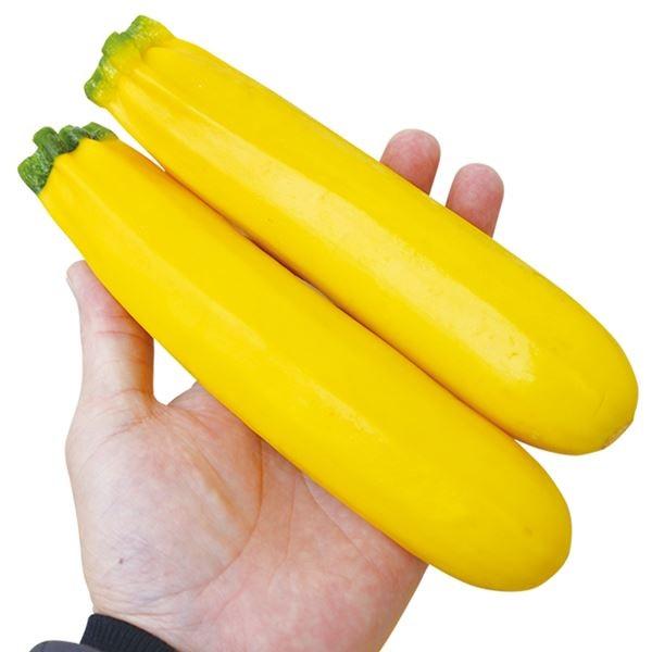 ズッキーニ タネ イタリア野菜 F1ゴールディボー 1袋 10粒 種 野菜たね Ytc130 22n P6 0101 花と緑 国華園 通販 Yahoo ショッピング