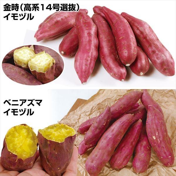 ●セット内容金時(高系14号選抜) ベニアズマ●商品情報関東と関西の代表品種!!それぞれの異なる食感や味をご賞味下さい。●お届け状態：イモヅル●性質金時：粉質ベニアズマ：粉質●備考ご注文の早い方から、5月中旬より順次発送いたします。お届け日...