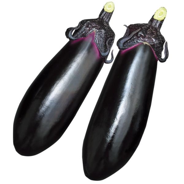 ●商品情報：受粉なしでも実が肥大するので手間いらず。「あのみのり」より側枝が出やすく収穫量アップ！ 低温期の果形の乱れが少なく、色ツヤ美しい。味も極上。※海外持出禁止品種(公示(農水省HP)参照）●果長（約）：15〜16cm●お届け状態：接...