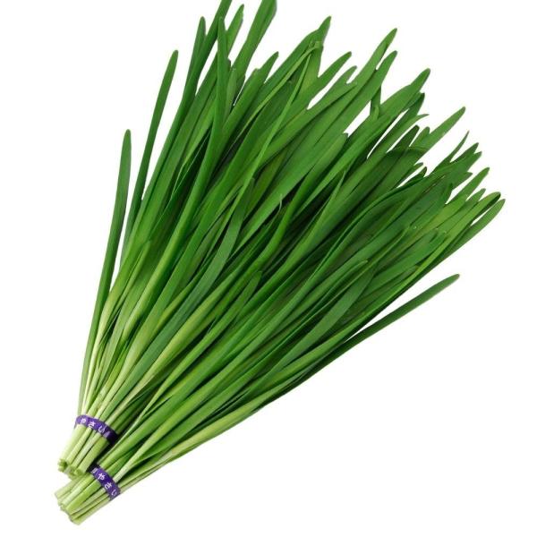 ●商品情報：再生力早く、収穫のサイクル短く収量高いニラ！ 葉質は柔らかく肉厚で光沢のある緑色です。耐寒・耐暑性抜群！！●お届け状態：種子●備考：播種や植え付け後の栽培条件、天候等によりその結果が異なることがありますが、弊社の責と考えられる結...