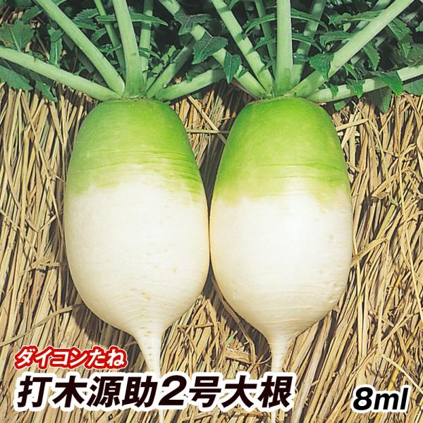種 野菜たね ダイコン 打木源助2号大根 1袋（8ml） うつぎげんすけ