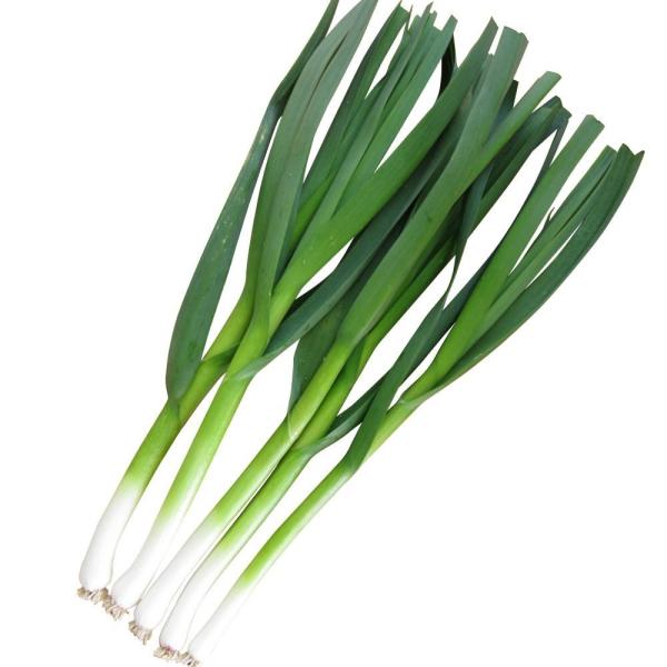 国華園 種 野菜たね 葉ニンニク ハーリック 送料込み 1袋（400g）  大蒜 種球でお届け やさいの種 爆買