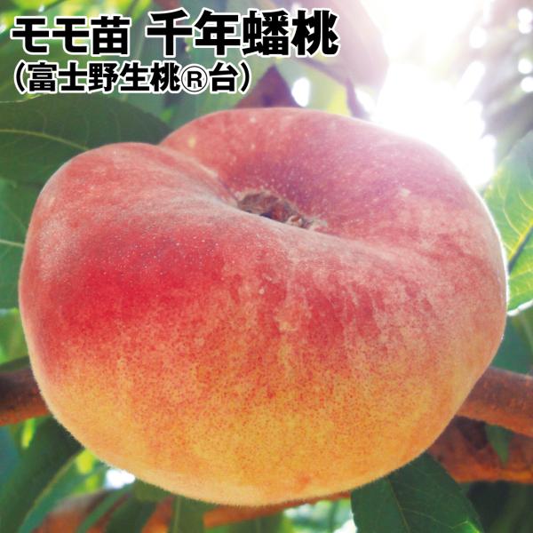 kokkaen_2023n-p8-0012