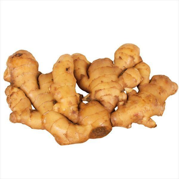 ●商品情報：繊維質が少なく良質で、爽やかな風味と奥深い辛味が特徴。和洋中あらゆる料理との相性が良く、毎日のお料理に大活躍すること間違いナシ！肥大性も良好でボリューム抜群の白生姜です。●お届け状態：種ショウガ●草丈：40〜60cm●収穫期：9...