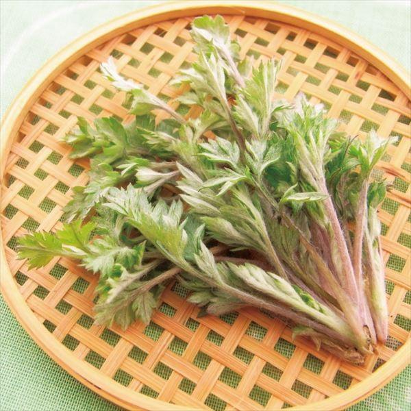 ●商品情報：草餅など、和菓子との相性が抜群！また、ごま和えや乾燥葉をお茶にも。●お届け状態：ポット苗●分類：多年草●収穫期：3月●日照：日向●耐寒性：強●備考：妊婦の方は過剰に摂取しないよう注意してください。