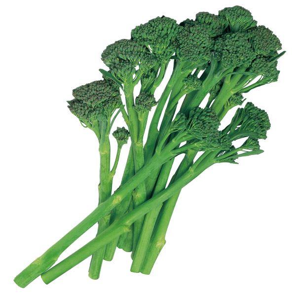 ●商品情報：花蕾だけでなく、茎も柔らかく美味しい茎ブロッコリー！ 頂花蕾を収穫した後も長い側枝が次々収穫可能。●お届け状態：実生9cmポット苗 ●備考：※ポットの口の対角線または直径が9cmとなります。※関東〜九州北部の平坦地区の露地への定...