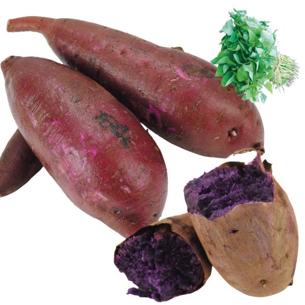 ●商品情報「パープルスイートロード」より濃い紫肉色でしっとりとし、甘さや食感が優れています。糖度は「べにはるか」と同程度で甘い!ふかしいもや焼きいもにオススメです。●お届け状態：イモヅル●性質：やや粘質●備考：ご注文の早い方から、5月下旬よ...