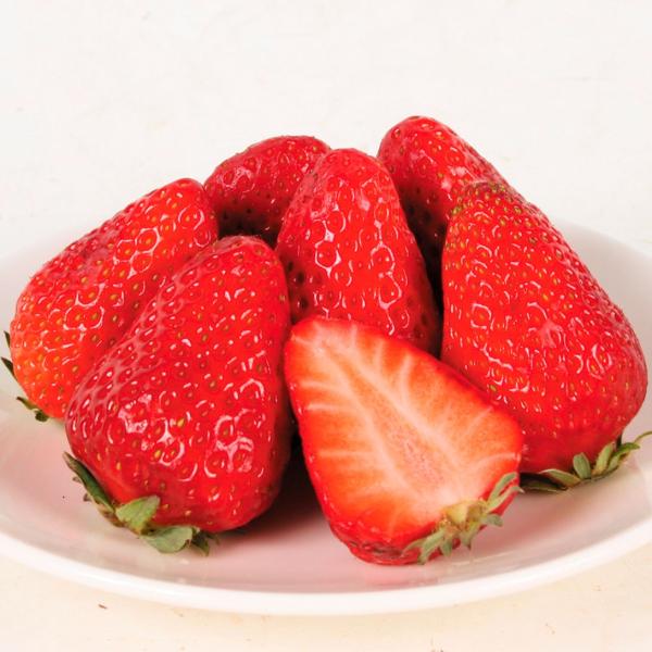 濃厚な味わいのイチゴです!●商品情報：すっかり有名になった優秀グルメイチゴ!甘味の中にも爽やかな酸味があり、濃厚なコクが極上の旨さ　味わい・品質ともに最高級!!●お届け状態：ポット苗●耐寒性：強/寒冷地でも地植えOK。●日照：日なた●草丈：...