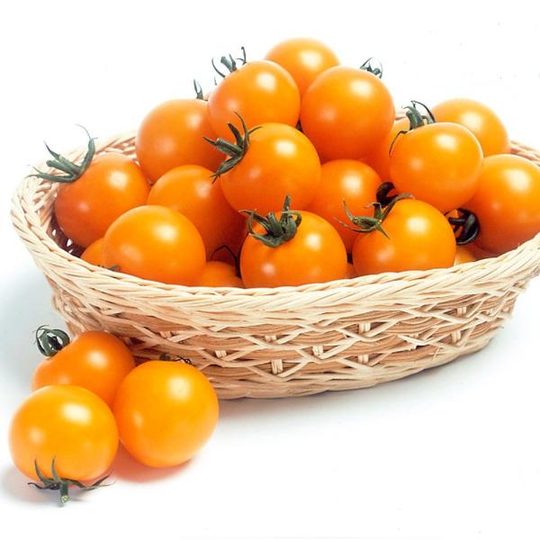 ●商品情報：鮮やかなオレンジ色の中玉トマト。甘みが強くフルーツのような食感がとっても美味。裂果の発生少なく房どりもできます。スタミナあり長期間収穫できる。●中玉トマト●果重（約）：40〜50g●お届け状態：接木9cmポット苗●備考：※接木苗...