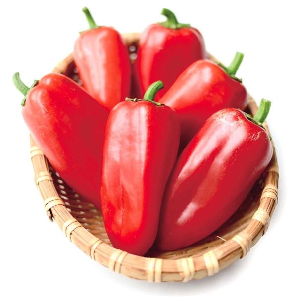 ●商品情報：作りやすくて美味しい、手の平サイズのミニパプリカ！糖度が高く、丸ごと食べても美味しい。着果性に優れ、開花後55日ほどで収穫期となります。マリネや炒め物、サラダ、さまざまな料理に大活躍。●果重（約）：40〜60g●お届け状態：接木...