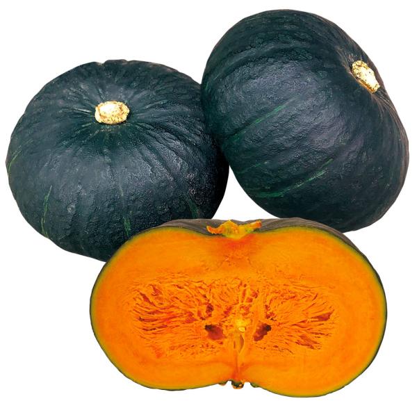 ●商品情報：極めて粉質の高いホックホクの果肉は、糖度２０度を超えることもある極甘品種！！ホクホク度が長く保たれ、長期間美味しいカボチャを楽しめます。極濃黒色の美しい果皮は退色しにくく、腐敗に極めて強く、貯蔵性も非常に高い。日焼け果の発生も少...