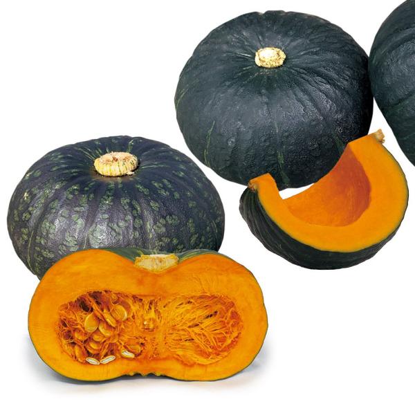 ●セット内容実生野菜苗 カボチャ F1神の杜 2株実生野菜苗 カボチャ F1グランモンブラン 2株