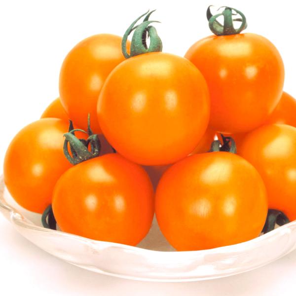 ●商品情報：美しい鮮橙色果は、糖度高くほどよい酸味とのバランスが絶妙で、食味抜群！ 草勢が強くスタミナがあるので、安定した収穫が望めます。家庭菜園に好適！●中玉トマト●果重（約）：35〜40ｇ●お届け状態：実生9cmポット苗 ●備考：※ポッ...