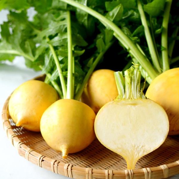 ●商品情報：皮・果肉とも鮮黄色で美しい。果肉は緻密で甘味強く、とても美味。加熱で色が濃くなり、煮崩れしにくいので煮物に最適！小カブ〜中カブサイズと収穫幅が広く重宝します。●根径（約）：5〜12cm●お届け状態：種子●入数の目安：10mlあた...