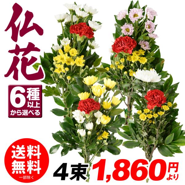 ●内容（Aタイプ）：カーネーション、下草、スプレー菊白花、小菊黄花（4種1束）（Bタイプ）：カーネーション、下草、スプレー菊黄花、小菊白花（4種1束）（Cタイプ）：カーネーション、下草、スプレー菊桃花、小菊黄花（4種1束）（Dタイプ）：カー...