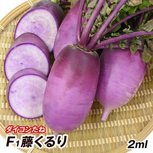 種 野菜たね ダイコン F1藤くるり 1袋（2ml） ふじくるり 大根 野菜の