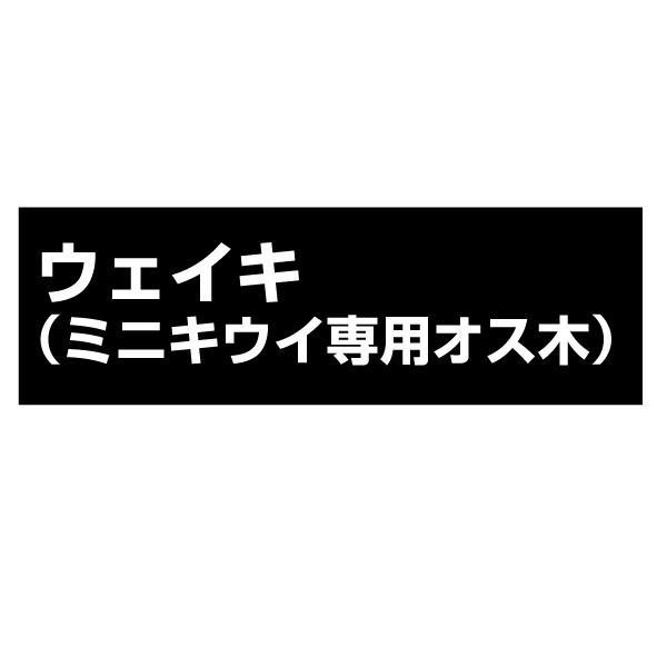 ●商品情報：ミニキウイ専用のオス木です。受粉が必要なミニキウイのメス木を栽培する際はお近くに「ウェイキ」を植えてください。●お届け状態：挿木2年生根巻苗●分類：つる性落葉樹●耐寒性：強●日照条件：日向●栽培適地：庭・鉢