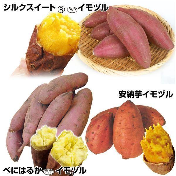 ●セット内容べにはるかPVP 10本シルクスイート（R）PVP 10本安納芋 10本●商品情報新企画！！早くに植えつけたい方、必見。皆様のご要望にお応えして、4月下旬より発送開始の特別便。圧倒的人気品種の「べにはるか」絹のようになめらかで旨...