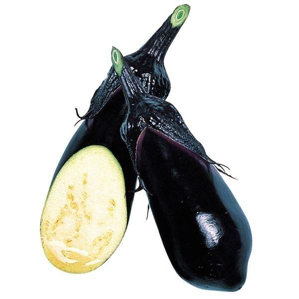 ●商品情報：若どりから大果まで、様々な用途に応じて収穫でき、揃い良好。みずみずしく柔らかで生食でも美味。●果重（約）：60〜120g●お届け状態：接木9cmポット苗●備考：※接木苗、特にウリ科植物（ゴーヤ・キュウリ・メロン・スイカ）は、台木...