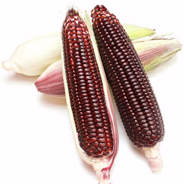 ●商品情報：各種メディアでも紹介され、登場以来高い人気を誇る「大和ルージュ」。これまでの美しさ・美味しさはそのままに、登熟日数が短くなった「95日」タイプが新登場！（通常タイプは100日）。糖度16度で甘く、やや糯感があり、パリッとした歯ご...