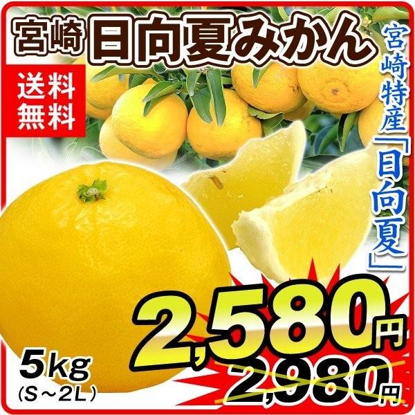 みかん 宮崎産 日向夏みかん 5kg S 2l ひゅうがなつ ご家庭用 柑橘 かんきつ フルーツ 国華園 F 花と緑 国華園 通販 Yahoo ショッピング