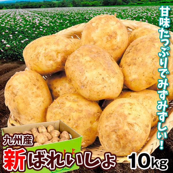 じゃがいも 九州産 新ばれいしょ 10kg 1組 野菜 国華園 F 花と緑 国華園 通販 Yahoo ショッピング