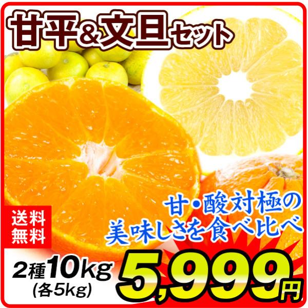 みかん 愛媛産 甘平 高知産 文旦 セット 10kg 各5kg 2品種 Set ご家庭用 食べ比べ かんぺい ぶんたん 柑橘 かんきつ フルーツ 国華園 F 花と緑 国華園 通販 Yahoo ショッピング