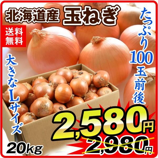 たまねぎ 北海道産 たまねぎ kg Lサイズ 100玉前後 玉葱 ご家庭用 大量 野菜 国華園 F 花と緑 国華園 通販 Yahoo ショッピング