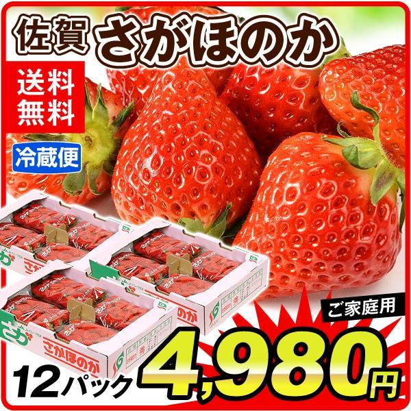 いちご 佐賀産 お買得 さがほのか 12パック 冷蔵 クール便 ご家庭用 イチゴ フルーツ 国華園 F 花と緑 国華園 通販 Yahoo ショッピング