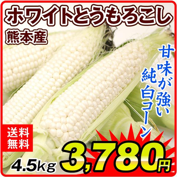 トウモロコシ 熊本産 ご家庭用 ホワイトとうもろこし 4 5kg プラチナコーン等 3l L 甘い 野菜 国華園 F 花と緑 国華園 通販 Yahoo ショッピング