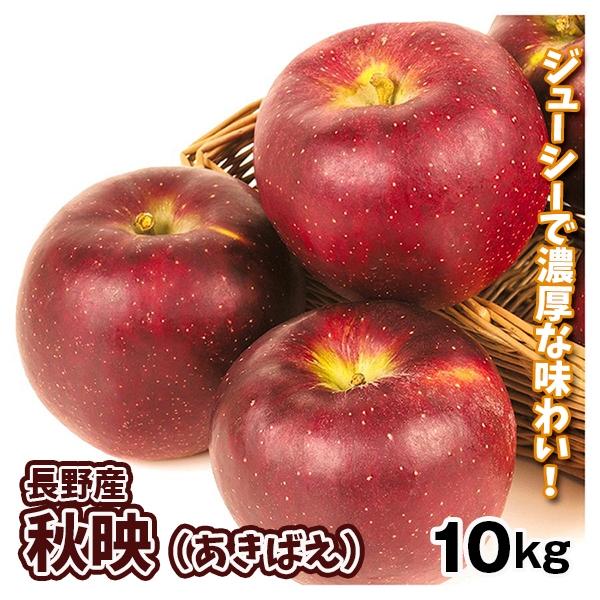 【10日まで最終出品】長野県産　秋映りんご　10キロ箱　送料込み りんご 10kg 秋映 長野産 ご家庭用 送料無料 食品 : 花と緑 国華園