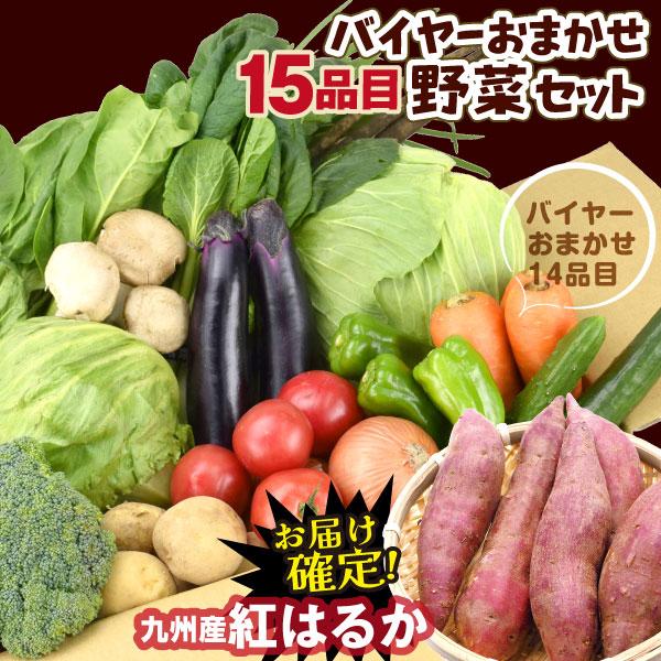 ●商品情報：毎日のお料理に使いやすい定番野菜が、たっぷり１５品目の大容量でお手頃価格！内容は目利きバイヤーにおまかせですが、人気の極甘いも「紅はるか」が１品目として必ず入ります。●産地：●規格・サイズ：-●おまかせ14品目の内容例：じゃがい...