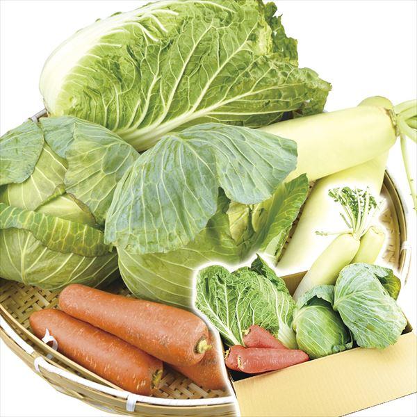 野菜セット 国産 重量野菜セット 4種1箱 白菜 大根 キャベツ にんじん 野菜詰め合わせ 自宅へお届け 国華園 F050 花と緑 国華園 通販 Yahoo ショッピング