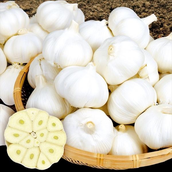 にんにく 10kgの人気商品 通販 価格比較 価格 Com