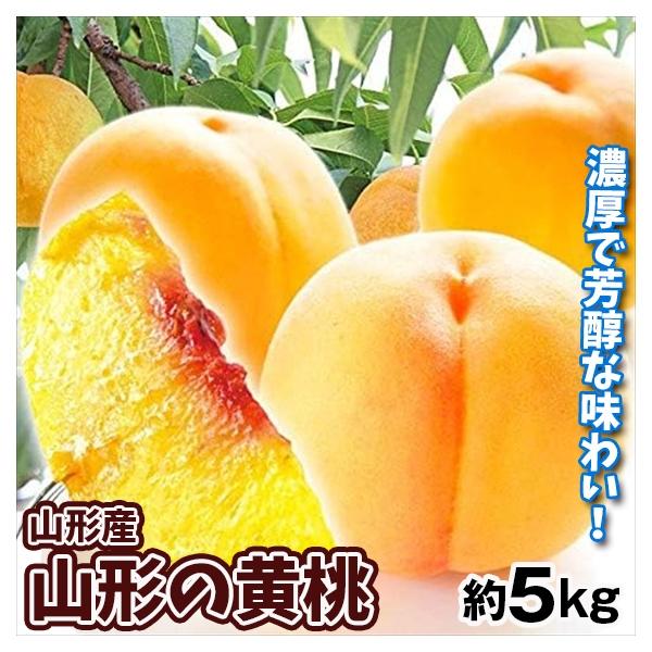 もも 大特価 山形の黄桃 約5kg 山形産 ご家庭用 黄桃 桃 品種 おまかせ