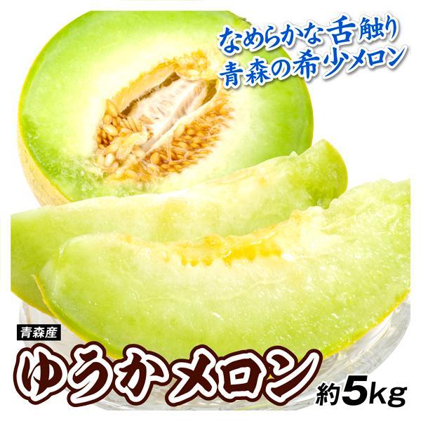 メロン 青森産 ご家庭用 ゆうかメロン 約5kg 送料無料 食品 F397 花と緑 国華園 通販 Yahoo ショッピング