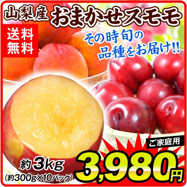 スモモ サンタローザ みんな探してる人気モノ スモモ サンタローザ 食品