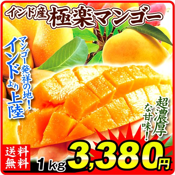 マンゴー インド産 極楽マンゴー 1kg 1箱 食品 フルーツ 送料無料 F467 花と緑 国華園 通販 Yahoo ショッピング