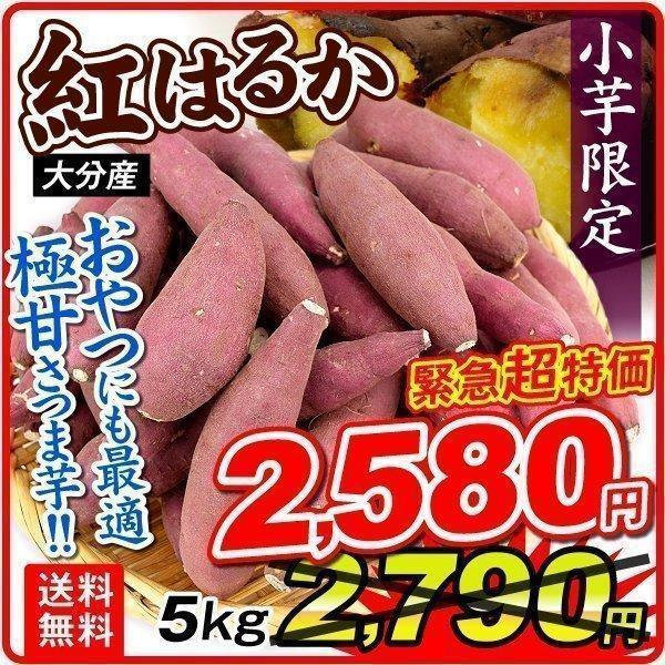 数量限定）さつまいも 生芋 5kg 大分産 紅はるか（小芋）訳あり ご家庭用 甘藷 サツマイモ 送料無料 食品 国華園 :f82910:花と緑 国華園  - 通販 - Yahoo!ショッピング