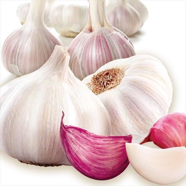 にんにく スペイン産 モラードにんにく 1kg ご家庭用 送料無料 食品 F101 花と緑 国華園 通販 Yahoo ショッピング